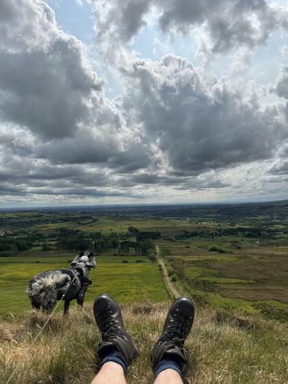 Moorland scene, a cocker spaniel looking out over a wide valley from high on a moorland slope beneath a blue sky with grey and white clouds