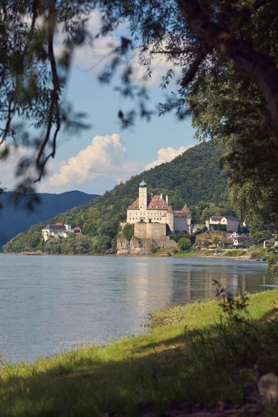 Schloss Schönbührl, a castle with an onion domed tower, next to the danube framed by some willow branches