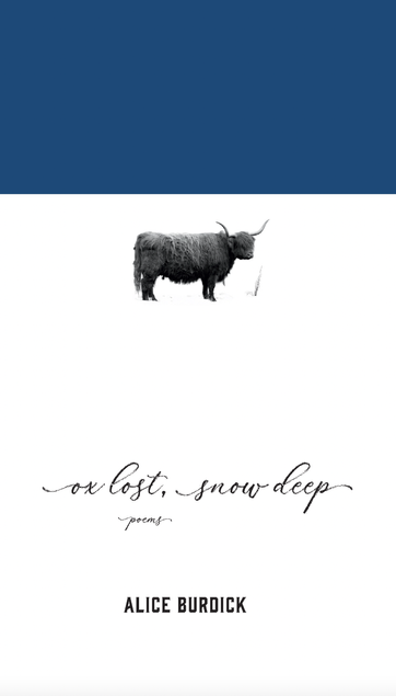Book cover for Ox Lost, Snow Deep by Alice Burdick (Anvil Press), with an ox against a white background, the sky suggested by a blue band across the top of the image. “I’m just going to break this, okay?” writes Nova Scotia poet Alice Burdick in her sixth full-length poetry collection. The 14 long poems in Ox Lost, Snow Deep range from confessional narrative to collage to surrealism, exploring representations of history, both public and personal, and within that, they probe what is considered important and what is considered not important. These poems include takes on semi-rural existence, raising a family, and living in poverty. They also veer toward popular culture: using movies, music, social media language as jumping-off points or simply by taking those media’s forms. Burdick confronts the very embarrassment of simply being alive: excruciation, apology, loss, humour, mistakes, and grief—and the freedom achieved by acknowledging these things. Nominated for the 2025 Maxine Tynes Nova Scotia Poetry Award. https://www.anvilpress.com/books/ox-lost-snow-deep