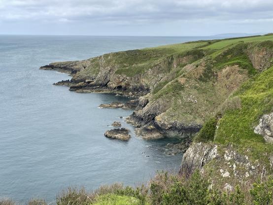 Cliff landscape with green vegetation cover in the foreground to the right and greyish/blueish/silverish sea to the left and the middleground. Blueish sky with white clouds above. On the rocks and in the sea are at least 24 seals.