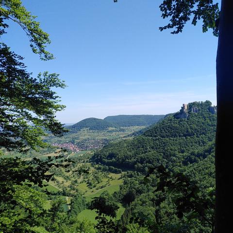 View of the village Neidlingen at the foot of a steep hill of the swabian jura. On the top of the hill there is a castle. The sky is a clear blue above the green pasture and forest.