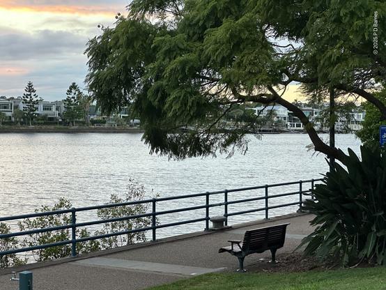 An empty bench sits under a jacaranda tree on the edge of a riverwalk footpath. Immediately behind is the lightly rippled e Brisbane river, its opposite bank glimpsed through the tree's foliage. In the corner of the image are hints of pink in the grey clouds, heralding dawn.