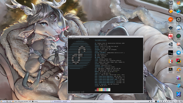 Mildly riced KDE desktop with an open Terminal displaying system info.