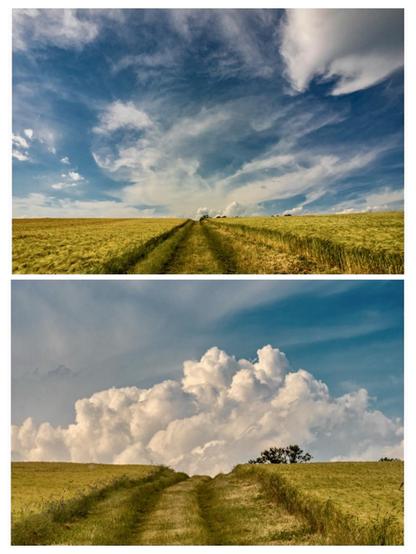 A scenic landscape featuring two images. The top image shows a wide field with tall grass and a dirt path leading toward the horizon under a blue sky with white clouds. The bottom image presents a similar dirt path surrounded by fields, leading up to big fluffy clouds