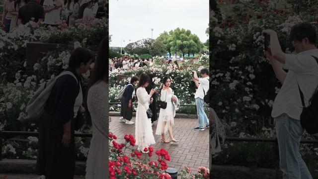 【4K】Yamashita Park Yokohama Japan #yokohama #japan #walking