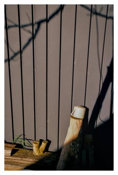 Color photograph of a dark gray wall of a tool shed. Leaning against the wall is a piece of wood with a white cup lying upside down on the end. A tree casts shadows of its branches on the wall.