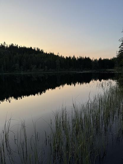Koppungstjärnet vid skymning