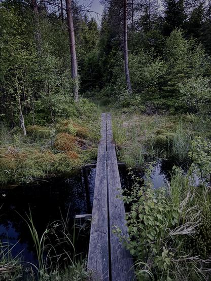 Spång över tillflöde till Koppungstjärnet
