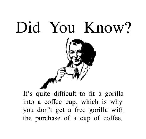 Did You Know?
It’s quite difficult to fit a gorilla into a coffee cup, which is why you don’t get a free gorilla with the purchase of a cup of coffee.
thatsbelievable