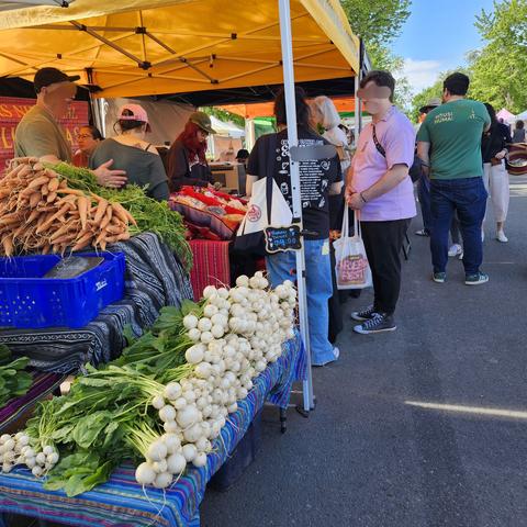 Looking down at a row of market stalls with fresh spring produce in abundance
