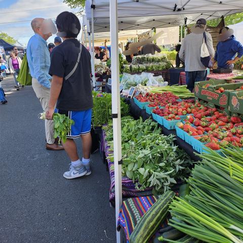 Flats of fresh strawberries at almost every market stall today 😋