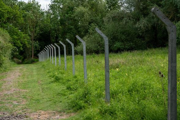 A series of tall concrete fenceposts with the top tilted outwards have no wire or other barrier between them, but still mark a boundary separating a path from an overgrown meadow, with trees behind.