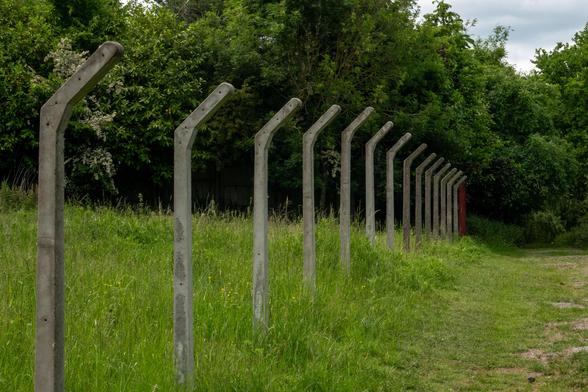 A series of tall concrete fenceposts with the top tilted outwards have no wire or other barrier between them, but still mark a boundary separating a path from an overgrown meadow, with trees behind.