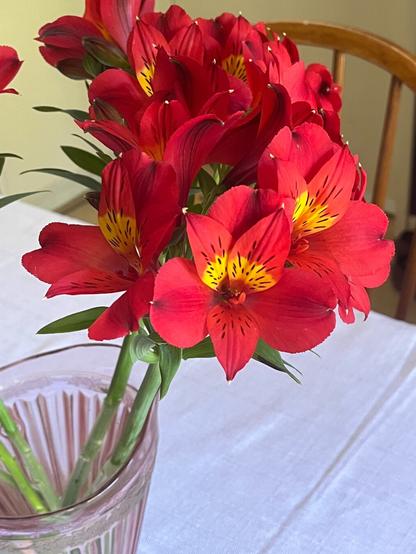 A stalk of red/orange Alastromeria blossoms is perched in a pitcher of antique cranberry glass