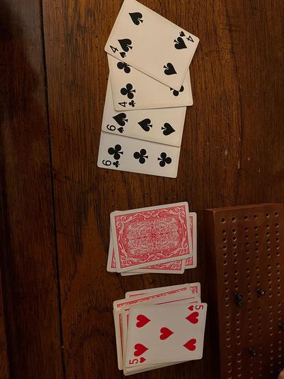 Cribbage hand of 4466. With a starter of 5.