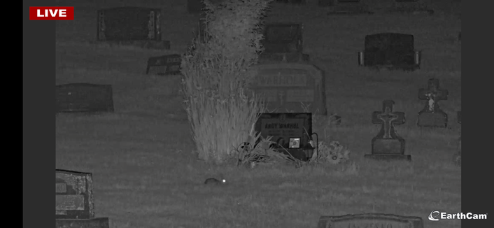 Black and white nighttime photo of a cemetery. There is a small rodent in the grass. The animal's eye is large and illuminated by the camera. It is the brightest thing in the picture.