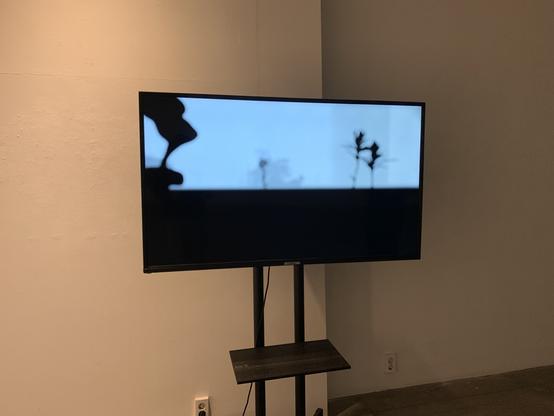 Some blurry silhouettes of flora on an LCD monitor.