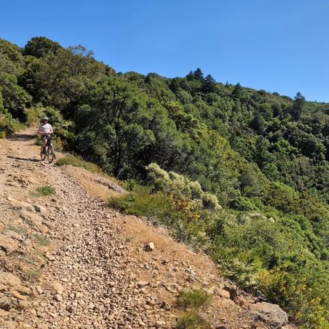 A single frame from a panoramic photo of the view northwest from Eldridge Grade on Mt. Tamalpais, looking at tan hills, green woods, blue skies and reservoirs of water