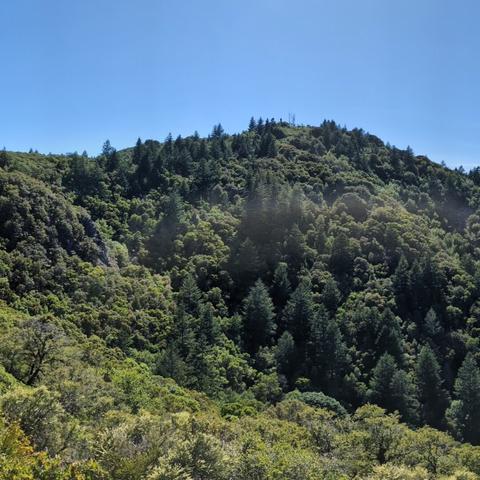 A single frame from a panoramic photo of the view northwest from Eldridge Grade on Mt. Tamalpais, looking at tan hills, green woods, blue skies and reservoirs of water