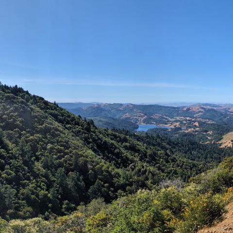 A single frame from a panoramic photo of the view northwest from Eldridge Grade on Mt. Tamalpais, looking at tan hills, green woods, blue skies and reservoirs of water