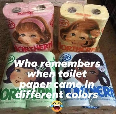 meme featuring 4 packages of northern toilet paper from the 1970's. the colors of the toilet paper are pink, yellow, green and blue respectively. the text reads "who remembers when toilet paper came in different colors"