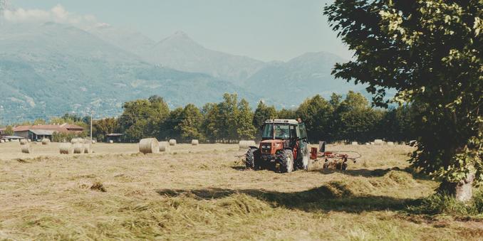 A man on a red tractor prepares the hay for baling.
A tree on the right of the tractor. Many bales appear on the field. At the back a line of trees and a farmstead. Mountains in the background.