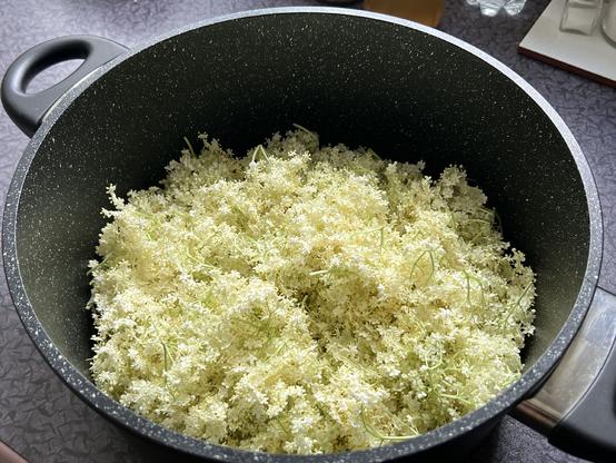 Ein Topf gefüllt mit frisch gepflückten Holunderblütenblüten, bereit für die Herstellung von Gelee. Der Hintergrund zeichnet sich durch eine strukturierte Oberfläche aus, auf der einige andere Küchenartikel sichtbar sind.