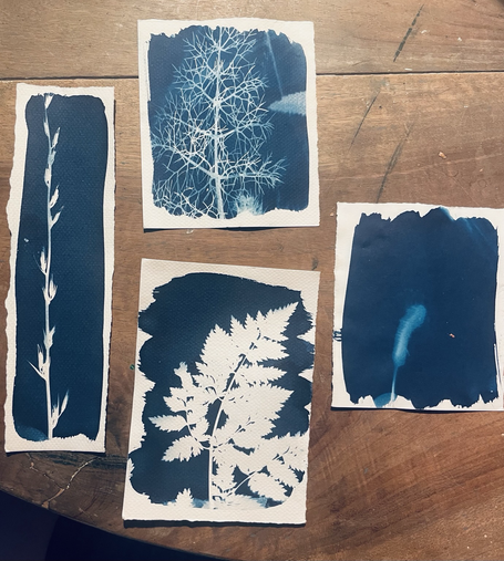 Quatre cyanotypes sur une table, dont un en format marque-page
