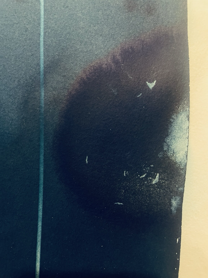 Détail de cyanotype