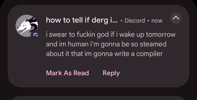 discord notif from "how to tell if derg i...[cuts off]": i swear to fuckin god if i wake up tomorrow and im human i'm gonna be so steamed about it that im gonna write a compiler