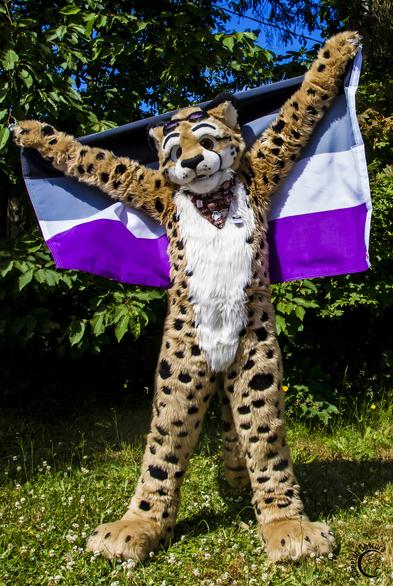 Fursuit photo of Obscura holding an asexual flag proudly behind them
