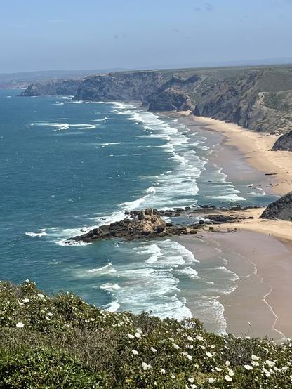 A scenic coastal view featuring cliffs, sandy beaches, and gentle waves. The foreground includes lush greenery with white flowers, while the background shows a clear blue sky and distant rolling hills.