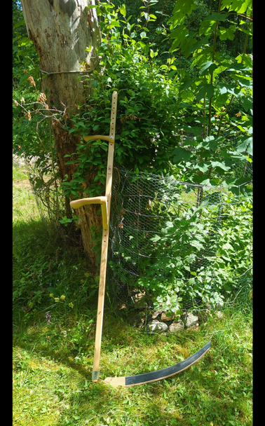 A scythe leaning on an overgrown big tree stump.