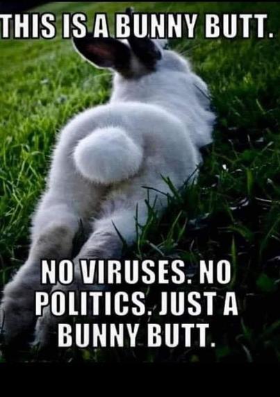 @pierostrada L'immagine mostra un coniglio bianco sdraiato sulle spalle su un prato verde. Il coniglio ha le orecchie lunghe e bianche con un piccolo punto nero all'interno. La sua coda è bianca e rotonda, visibile in primo piano. Il testo sovrapposto all'immagine recita: "THIS IS A BUNNY BUTT. NO VIRUSES. NO POLITICS. JUST A BUNNY BUTT." Questo testo è in inglese e si riferisce alla semplicità e alla naturalezza della scena, focalizzandosi sul coniglio e sulla sua coda.

Fornito da @altbot, generato localmente e privatamente utilizzando Ovis2-8B

🌱 Energia utilizzata: 0.175 Wh