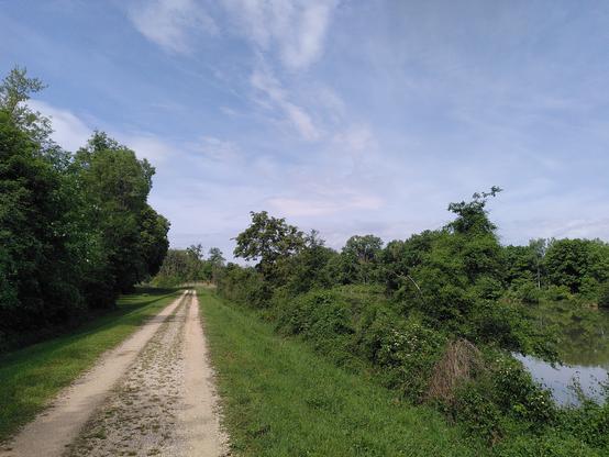 Feldweg zwischen Fluss und Wald auf einem Damm. Blauer Himmel mit Schleierwolken.