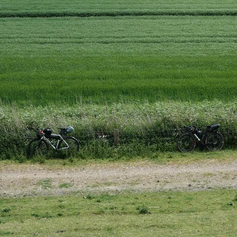 Blick vom Deich runter auf unsere Gravelbikes bei einer Pause. Die Räder lehnen an einem zugewachsenem Zaun neben einem geschotterten Weg. Dahinter grüne Getreidefelder.