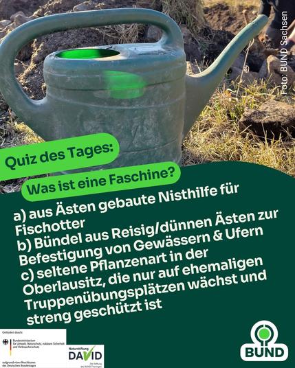 Eine grüne Gießkanne steht auf dem Boden neben einem frisch bearbeiteten Uferbereich. Im Vordergrund ein Quiz mit der Frage: „Was ist eine Faschine?“ Drei Antwortmöglichkeiten: a) Nisthilfe für Fischotter, b) Bündel aus Reisig zur Uferbefestigung, c) seltene Pflanzenart in der Oberlausitz. Förderlogos und BUND-Logo unten im Bild.
