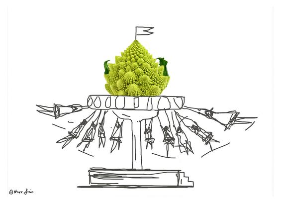 Illustration Karussell mit Romanesco als Krone (also obenauf).