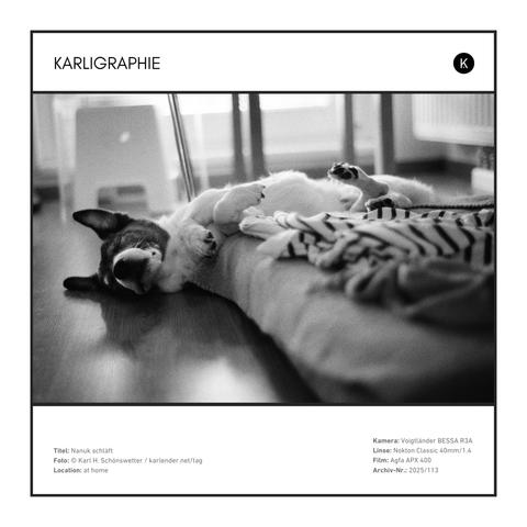 Nanuk spent his last days sleeping a lot, the last pictures of him on film have something of a death mask.
