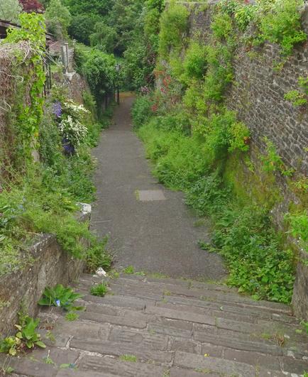 Steps down to a stone-lined path, with abundant greenery.