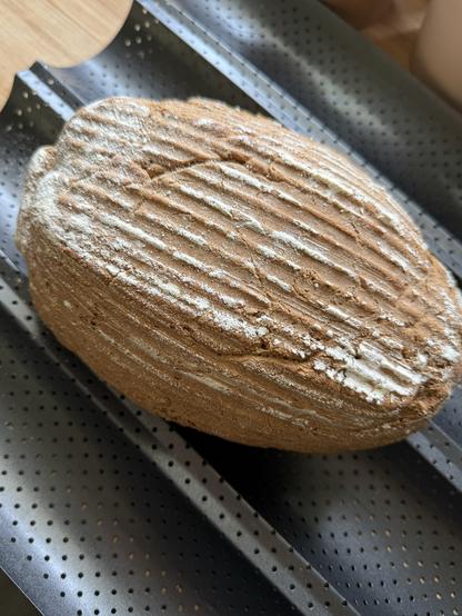 Ein hellbraunes Dinkelbrot liegt zum Auskühlen auf einem Lochblech, man sieht die bemehlten  Rillen vom Garkörbchen.