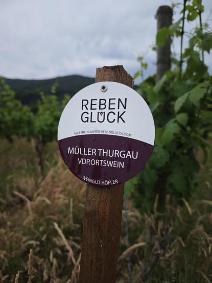 A small round sign that reads: "Reben Glück, Müller Thurgau VDP.Ortswein, Weingut Höfler"