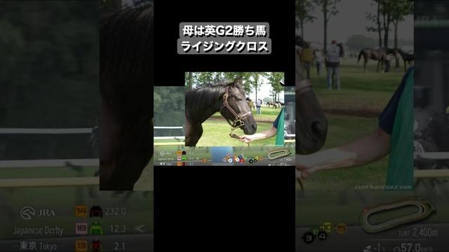 2025年ダービー馬・北の十字星「クロワデュノール」　#ウマ娘 #shorts #競馬 #名馬名鑑 #日本ダービー2025 #ウイニングポスト #ダビスタ
