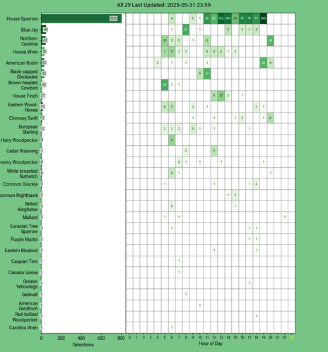 Chart generated by BirdNET-Pi with rows of all detected birds for Saturday, May 31, 2025 in decending order.  The first large column displays a bar chart of relative frequency; the 24 reamaining columns create cells with the bird count for each hour of the day shaded by relative count.