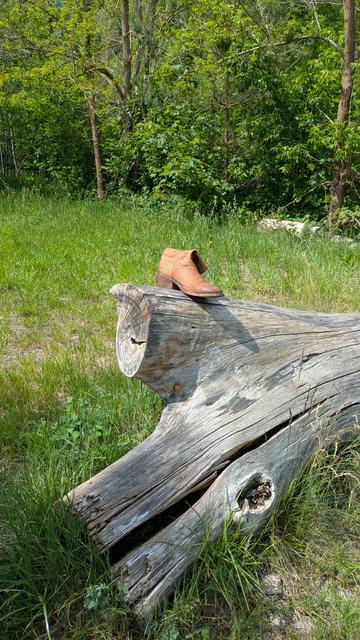 Das Bild zeigt ein braunes Lederstiefel auf einem abgestorbenen Baumstamm in einem grünen Wald. Der Baumstamm ist grau und zeigt deutliche Risse und Verwitterungserscheinungen, was auf seine lange Exposition im Freien hinweist. Der Stiefel ist leicht abgenutzt und hat eine hölzerne Absatzsohle, was auf eine traditionelle Western-Stiefelart hinweist. Der Hintergrund besteht aus dichtem Grün, mit verschiedenen Größen und Formen von Bäumen und Sträuchern, die eine natürliche und ruhige Umgebung schaffen. Die Sonne scheint, was die Farben des Stiefels und des Baumes hervorhebt.