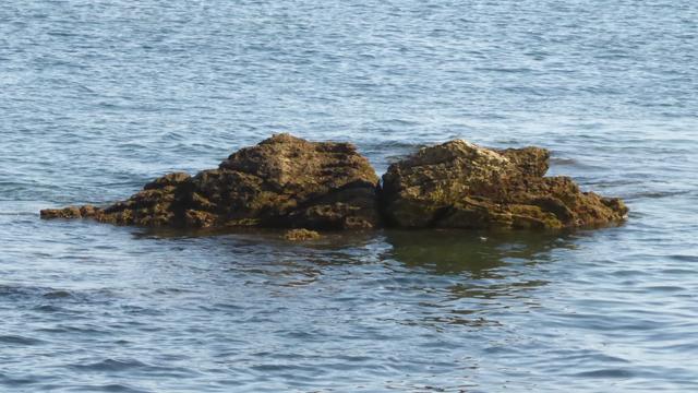 Deux rochers qui se touchent comme s'ils allaient s'embrasser entourés par la mer bleue et ses petites vaguelettes tout autour.