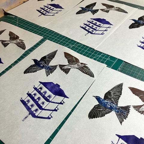 At least 6 drying prints on a tabletop top showing two purple martins and a purple martin birdhouse. These linocuts are printed by hand on Japanese kozo, or mulberry, washi paper. The male is in blue and black, the female in shades of brown with blue and the house is in purple. Each sheet is 12.5” tall by 9.25” wide (31.7 cm by 23.5 cm).