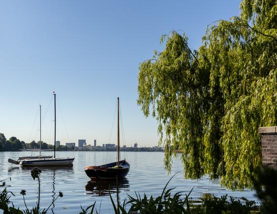 Einsame Boote ankern auf der Alster
im Vordergrund etwas Ufergrün und seitlich ei Baum, am anderen Ufer im Mittagsdunst die Skyline von Hamburg