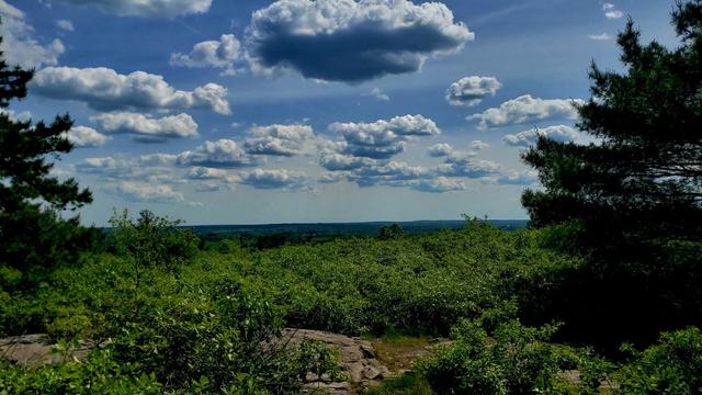 Puffy cumulus clouds dominate the sky looking west from Buck Hill. Two tall pine trees frame the left and right sides.