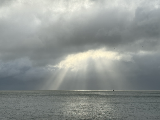 Grey clouds hang over the Channel.  Centered in the image rays of sun break through the cloud reaching for the water.  A few specks also appear, wee distant gulls for scale.